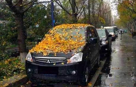 如果汽車長時間不行駛，如何