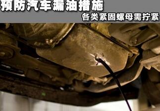 如何防止汽車漏油
