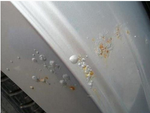 應該如何保護汽車免受大雨的