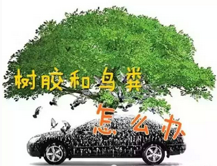 我如何清洗我車上的口香糖？
