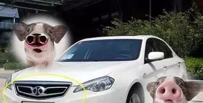 [車標資訊]全球最美車標，最