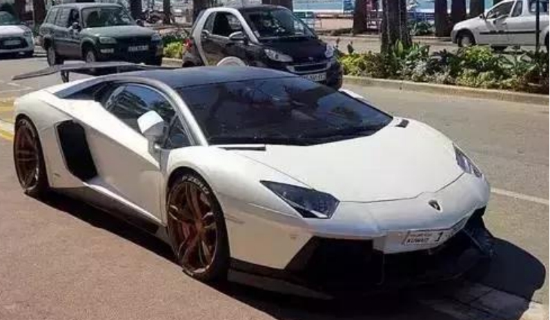 [車標志]各款車標好看排行榜