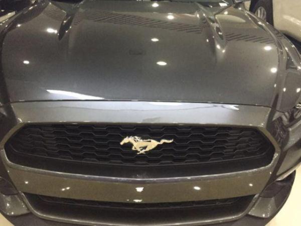 [車標趣聞]用馬做車標的四種