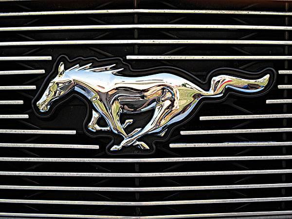 這14個(gè)車標(biāo)都是動物，“進(jìn)口”的卻一個(gè)也養(yǎng)不起！