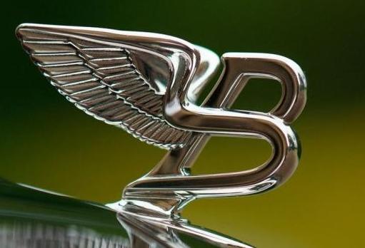 地表較貴的三大車標，隨便掰一個要賠一臺奔馳，較便宜的是邁巴赫