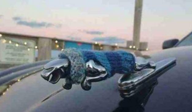 較漂亮的的10個車標，國人喜歡較后一個，你會喜歡哪一個？