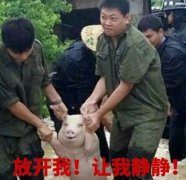 @Щƶȸ_80%܇־  㶼