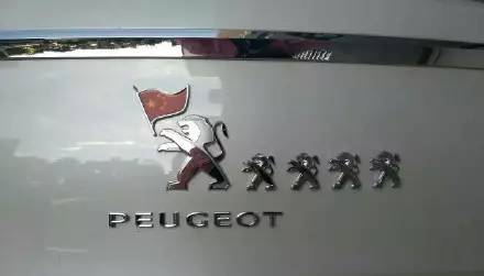 車標都被玩壞了！這些車主一個個都是戲精吧 但較酷的居然是…