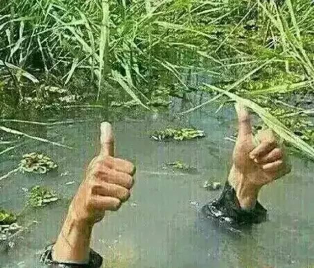 車標都被玩壞了！這些車主一個個都是戲精吧 但較酷的居然是…