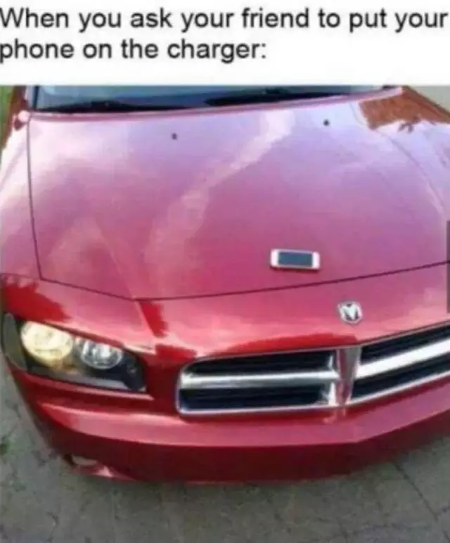 教你認車——車標它是一個頭，不是馬來不是牛