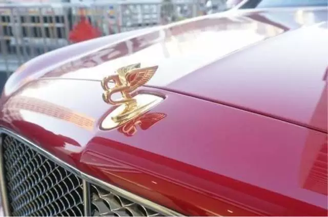 車標就能換寶馬，千萬級的車長啥樣？