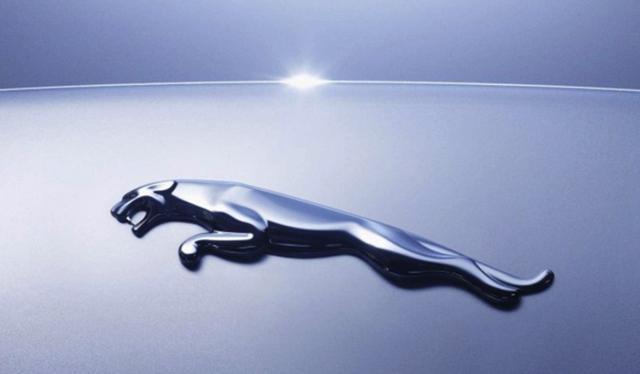 這四個品牌的車標都是動物，全是高檔車，其中兩個保時捷不敢惹