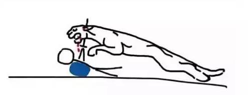 這樣的車標，簡直不忍直視...