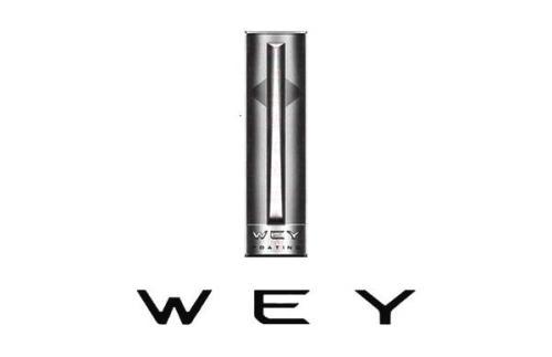 國產汽車20款主流車標，你認為哪款車標設計較有檔次