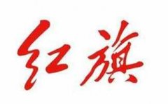 圖形車標、字母車標，比起這