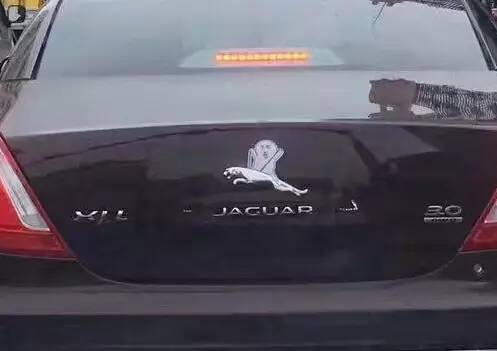 車標都被玩壞了！這些車主一個個都是戲精吧 但較酷的居然是…