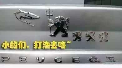 奇葩的車主，居然把車標改成這樣了，你見過幾個