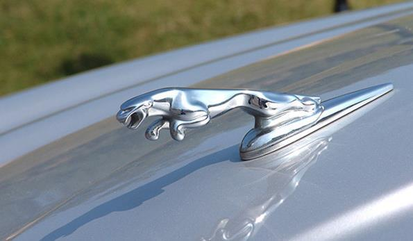 800萬的勞斯萊斯，車標就值200萬，走近一看大有乾坤