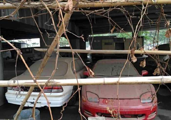 車牌4個(gè)8, 車標(biāo)是匹馬, 但車子卻不是法拉利