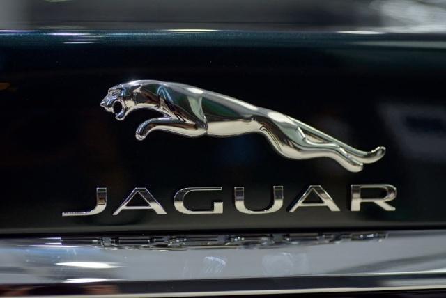 全球6大“動物車標”，你見過幾個？敢賭3包煙，了不起見過4個