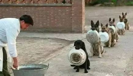 經典車標背后竟隱藏著一段虐戀往事？