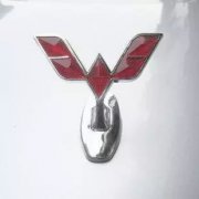 全球最美5大立體車標，你都認