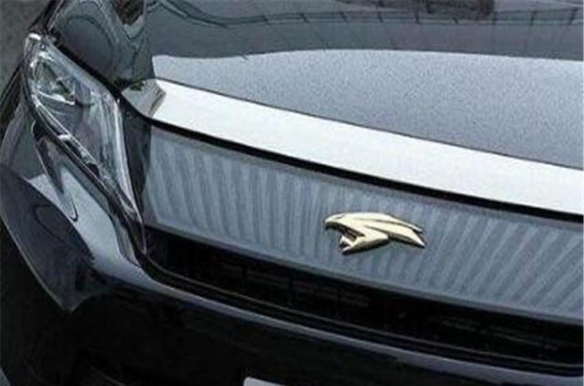 豐田擁有10個車標，認識5個算老司機，你認識幾個？