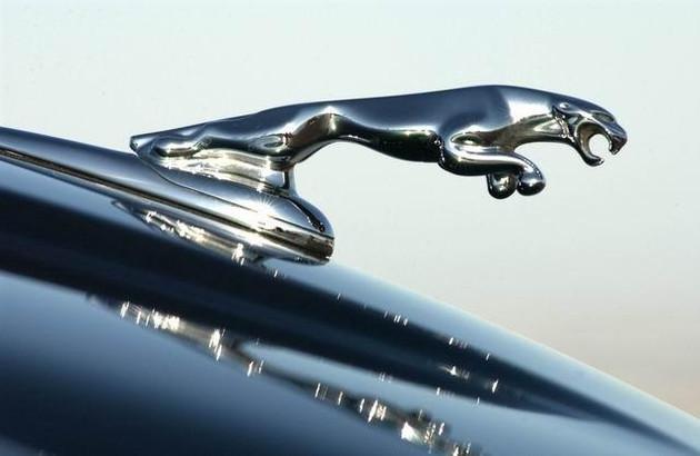 全球8大動物車標，見過5個算老司機，你見過幾個？