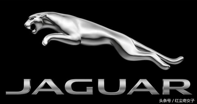 世界較漂亮七大車標(biāo)，苐yi竟然是國產(chǎn)品牌？