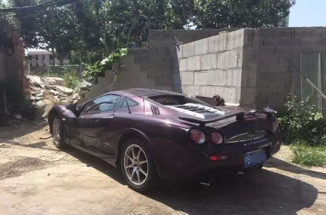 看到這3種車標別慌，雖然它們極少見但絕對算不上豪車！