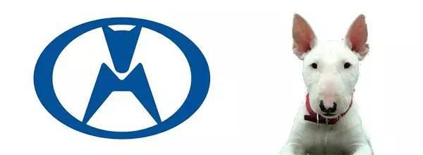 確認過車標，是不想買的車！比亞迪還曾因為車標太丑而滯銷