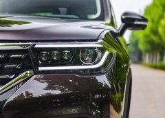 車標在國產品牌中數一數二的