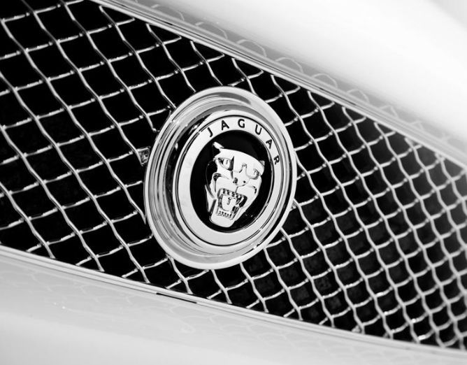 盤點全球7大“動物車標”！我敢賭2包煙，你頂多就認識5個