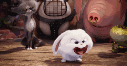 車標“家族”來襲，歡迎前來觀看！