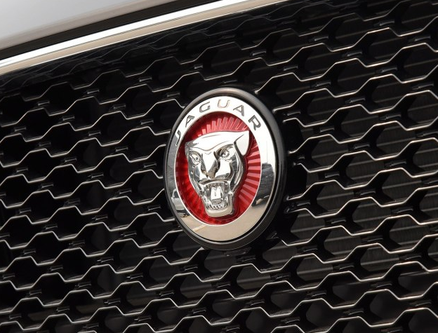 盤點全球7大“動物車標”，我敢賭你10包辣條，你較多就認得5個！