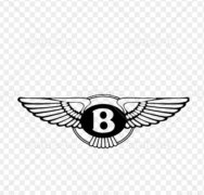 如果你能認全這10個車標，那