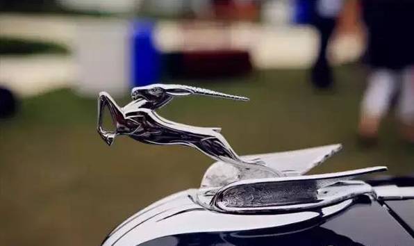 全球較罕見的車標(biāo)，見過1個以上我叫你大神！