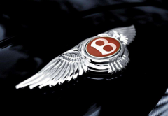 過年回家看到這5款車標汽車，