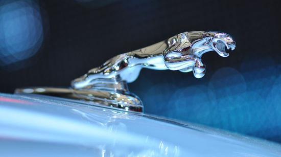 勞斯萊斯車標(biāo)40萬(wàn)？有些車標(biāo)更是已經(jīng)訂不到貨