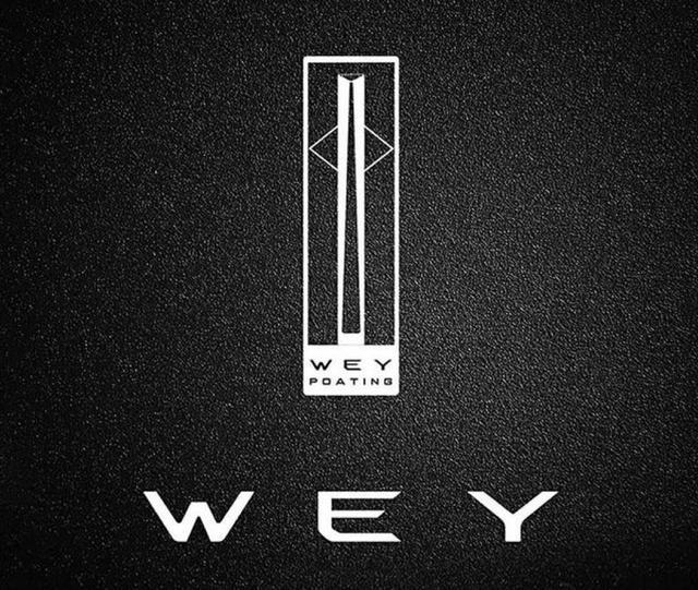 較好看的五個國產車標，第三款大多數人還不認識