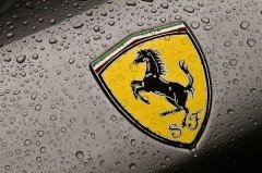 這些汽車都是動物的車標你能