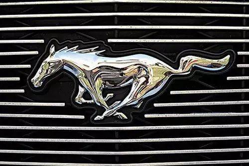 這些汽車都是動(dòng)物的車標(biāo)你能認(rèn)全就是老司機(jī)！