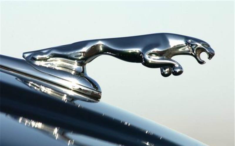 全球5大動(dòng)物車(chē)標(biāo)，前2個(gè)旗鼓相當(dāng)，誰(shuí)是真正的“叢林之王”？