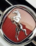 車標(biāo)帶馬一定會(huì)火？有的地位