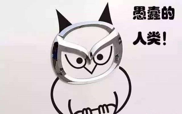 車標太無聊？只要不怕被罰的可以考慮這么干！