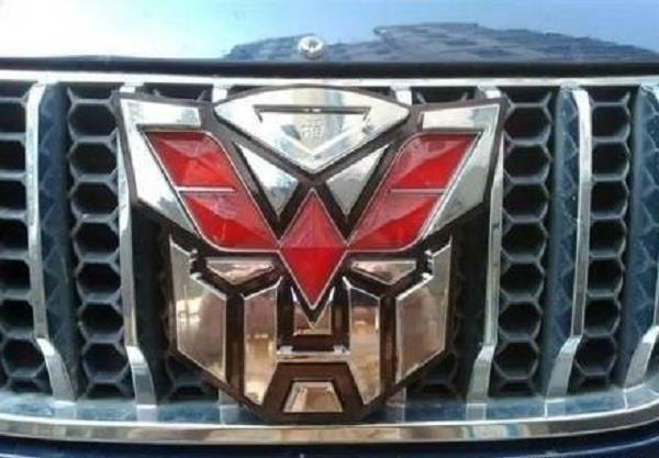 車標太無聊？只要不怕被罰的可以考慮這么干！