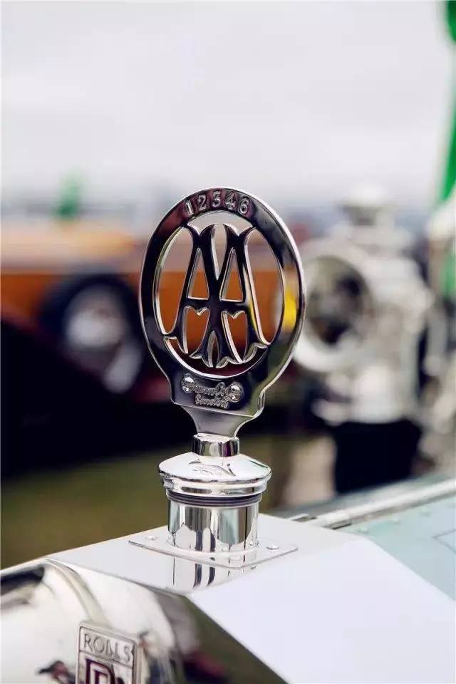 全球較罕見的汽車標(biāo)志，見過(guò)一個(gè)算你牛！