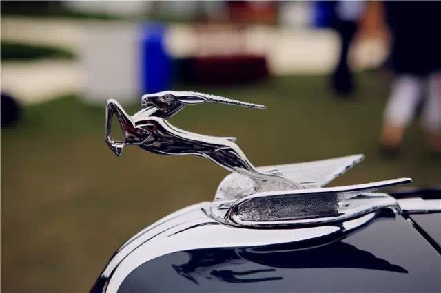 全球較罕見的汽車標(biāo)志，見過(guò)一個(gè)算你牛！