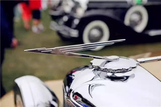 全球較罕見的汽車標(biāo)志，見過(guò)一個(gè)算你牛！