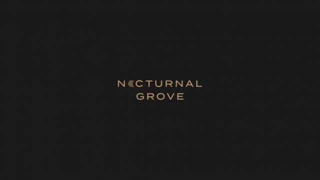 40款品牌LOGO設(shè)計集錦